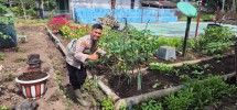 Tinjau Kebun Sayuran, Bhabinkamtibmas Desa Tagagiri Tama Jaya Pastikan Terong dan Cabai Tumbuh Subur