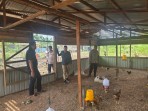 Sambangi Peternak Ayam Kampung, Bhabinkamtibmas Polsek Pelangiran Perkuat Pemenuhan Protein Hewani Masyarakat