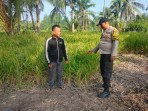 Dukung Asta Cita Ketahanan Pangan, Bhabinkamtibmas Polsek Batang Tuaka Cek Lahan Padi dan Antisipasi Dampak El Nino