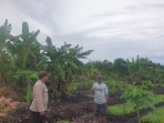 Babinkamtibmas Polsek Pulau Burung Kembangkan Tanaman Kangkung Dukung Ketahanan Pangan Daerah