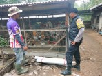 Dukung Swasembada Pangan 2026, Bhabinkamtibmas Bersama Kelompok Tani Gembira Laksanakan Penanaman Jagung di Tempuling