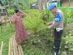 Dorong Produktivitas Ekonomi Masyarakat, Personel Polsek Enok Pantau Tanaman Di Perkarangan Rumah