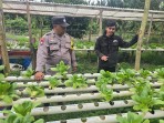 Polsek Pelangiran Dorong Ketahanan Pangan, Bhabinkamtibmas Rutin Pantau Budidaya Hidroponik di Desa Tanjung Simpang
