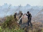Polres Inhil Bersama Tim Gabungan Padamkan dan Dinginkan Hotspot di Desa Kayu Raja
