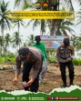 Polsek Tembilahan Hulu dan Warga Pulau Palas Tanam Jagung Serentak Dukung Swasembada Pangan
