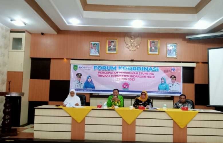 Kadinkes Inhil Berikan Pemaparan Pada Rapat TPPS