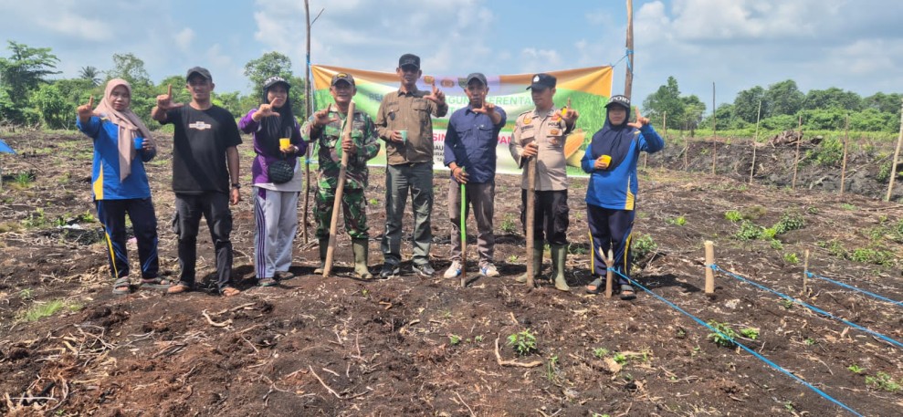Babinkamtibmas Polsek Pelangiran Laksanakan Penanaman Jagung Kuartal III