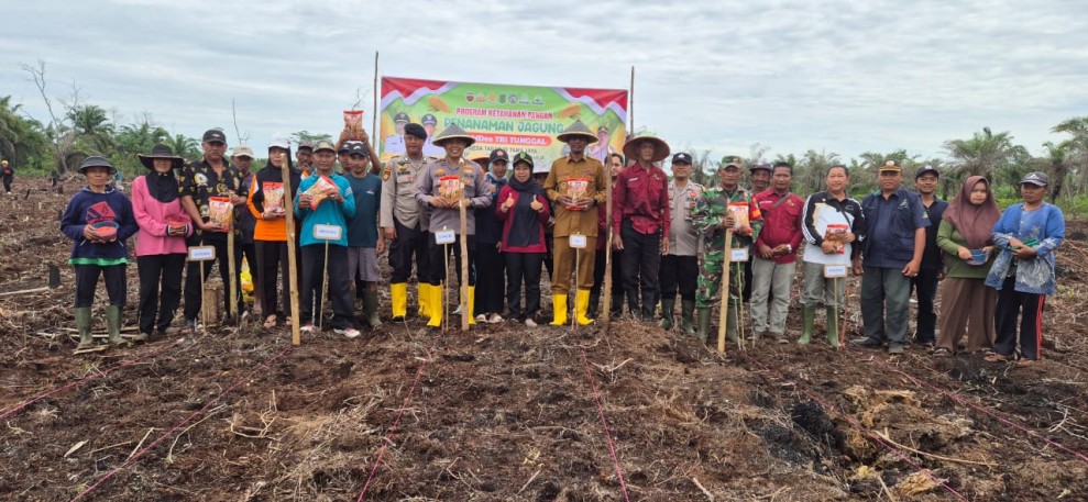 Kapolsek Pelangiran Bersama Forkopimcam dan BUMDes Gelar Penanaman Jagung Serentak