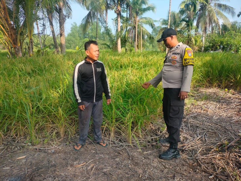 Dukung Asta Cita Ketahanan Pangan, Bhabinkamtibmas Polsek Batang Tuaka Cek Lahan Padi dan Antisipasi Dampak El Nino