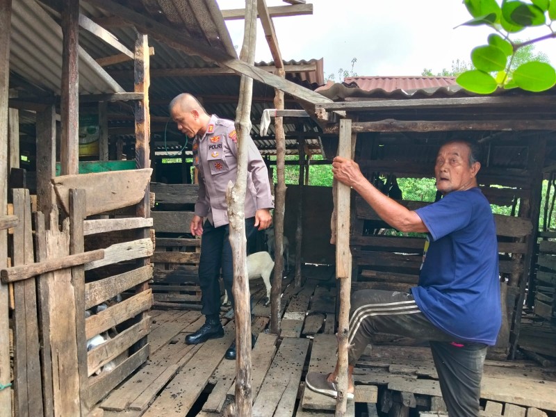 Kapolsek Pulau Burung Jaga Perkembangbiakan Ternak Kambing Demi Pemenuhan Swasembada Daging