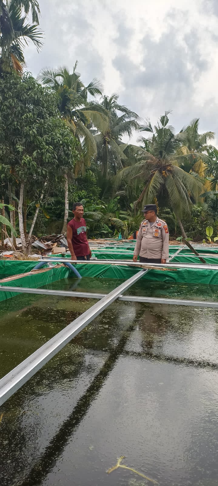Ketahanan Pangan Terus Didorong, Polsek Pelangiran Awasi Perkembangan Budidaya Lele dan Mujair di Bagan Jaya