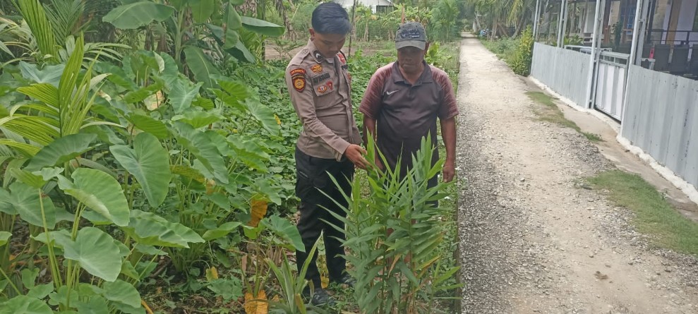 Bhabinkamtibmas Polsek Enok Dorong Warga Manfaatkan Pekarangan untuk Ketahanan Pangan Keluarga