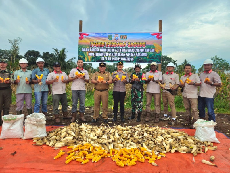 918 Kg Jagung Hasil Panen Kolaborasi Polsek Pelangiran -THIP Dukung Swasembada Pangan Inhil