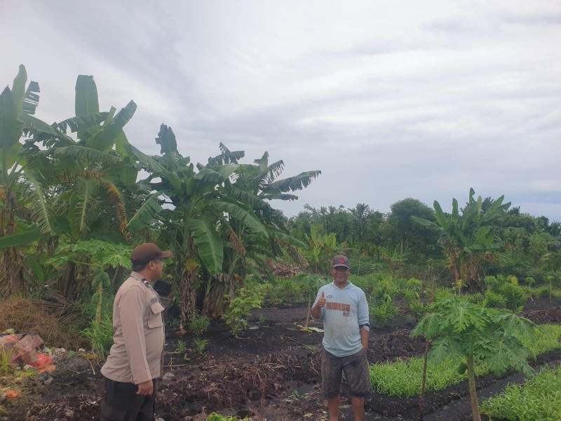 Babinkamtibmas Polsek Pulau Burung Kembangkan Tanaman Kangkung Dukung Ketahanan Pangan Daerah