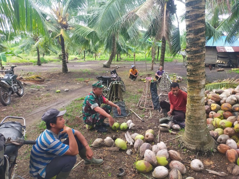 Babinsa Koramil 11/Pulau Burung  Berikan Penyuluhan kepada Petani Kelapa di Desa Sungai Danai
