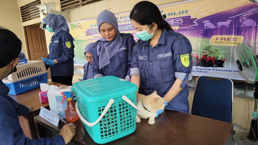 Suntik Gratis Anabul Pulang Bawa Bibit Cabai, Aksi Keren Distan Inhil Peringati Hari Rabies Sedunia 2026