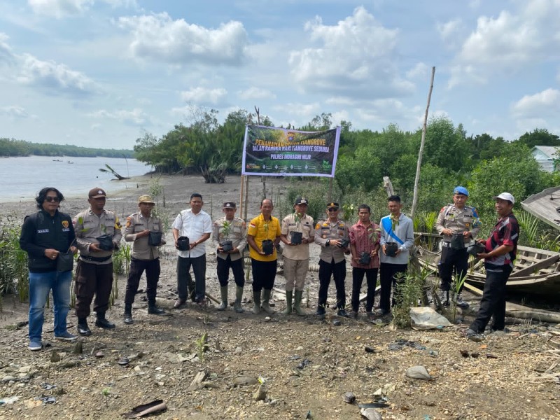 Sempena Hari Mangrove Sedunia, Polsek Enok Tanam Mangrove Serempak