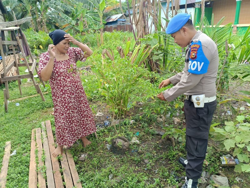 Dorong Produktivitas Ekonomi Masyarakat, Personel Polsek Enok Pantau Tanaman Di Perkarangan Rumah