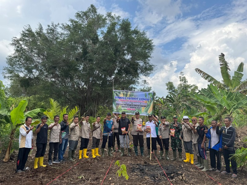 Dukung Swasembada Pangan, Personil Polsek Concong Bersama Forkopimcam Dan BUMDes Tanam Jagung Di Kuartal II