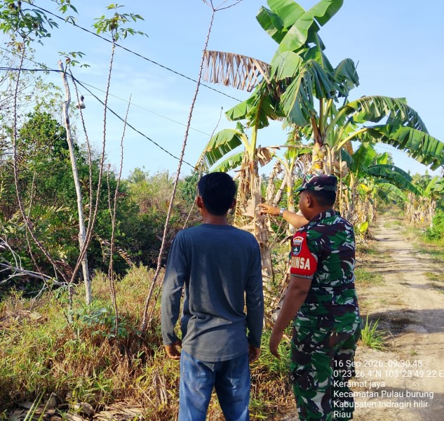 Babinsa Keramat Jaya Laksanakan Pengawasan Tapal Batas Wilayah di Pulau Burung