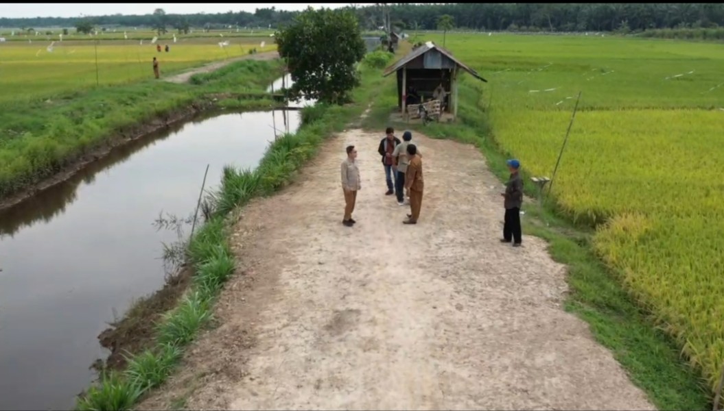 Kadistan Inhil Fokuskan Kesiapan Panen Raya  Saat Kunjungi Kempas