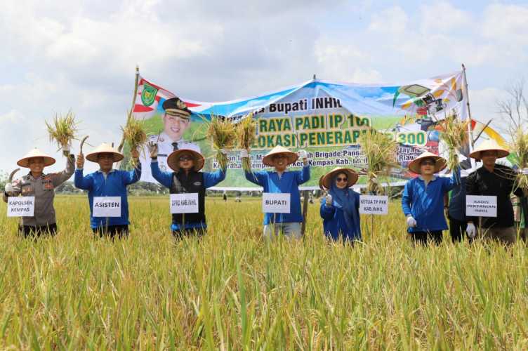 Panen Raya Padi Perdana IP 100 di Kempas, Bupati H. Herman Pastikan Keberpihakan Pemerintah Kepada sektor pertanian