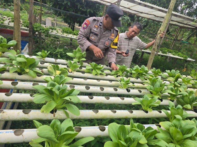 Dukung Ketahanan Pangan, Polsek Pelangiran Intensifkan Pendampingan Budidaya Hidroponik Warga