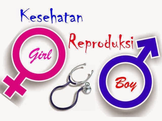 Dinkes Inhil Beri Arahan dalam Menjaga Kesehatan Reproduksi
