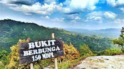 Galeri Wisata Bukit Berbunga, Keindahan Bukit yang Menyejukan Mata Memandang
